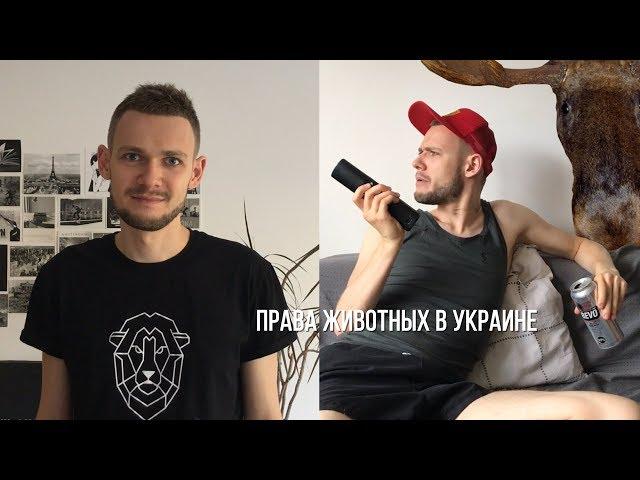 Права животных в Украине - KATOON NETWORK