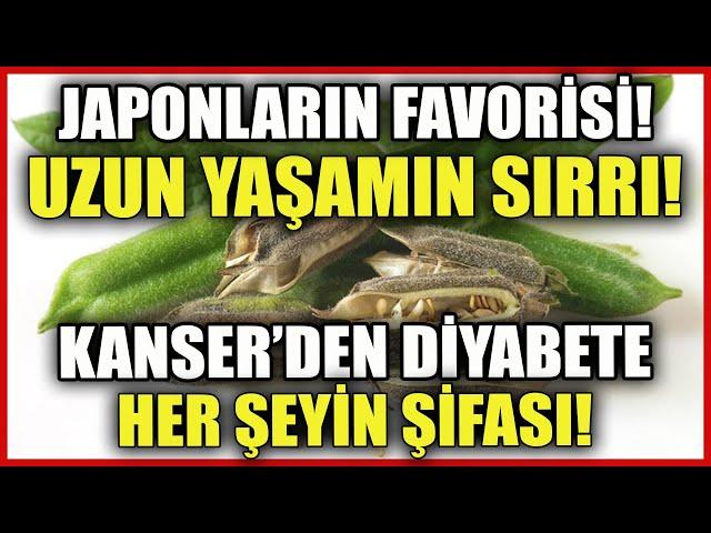 Japonların Uzun Yaşam Sırrı! Kanserden Diyabete Her Şeyin Şifası...