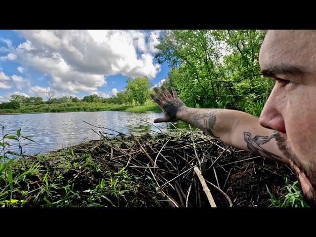 “BEAVERS OCEANIC BLUNDER” Beaver Dam Removal Awakens Oceans Fury