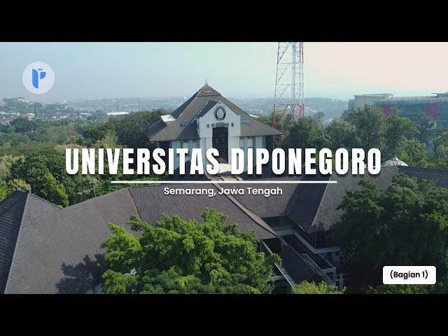 [Drone View] Wajah UNDIP 2024‼️ CAMPUS TOUR - Universitas Diponegoro (Bagian 1) || TeknoDroneID