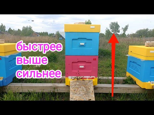 Расширение пчёл вторым корпусом! Пчеловодство!