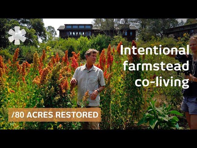 7 friends built restoration ecovillage. Outcome 50 years on