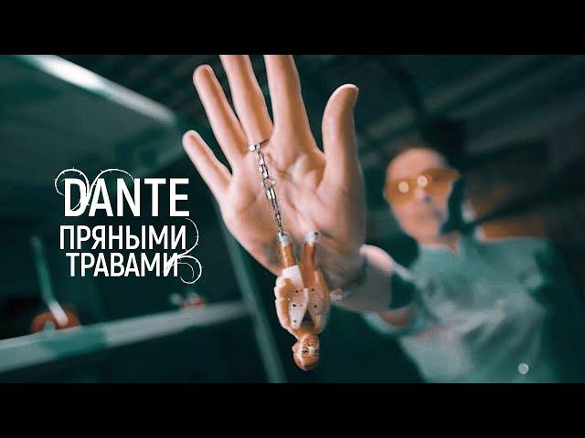 DANTE - Пряными травами (Премьера клипа, 2020) 12+