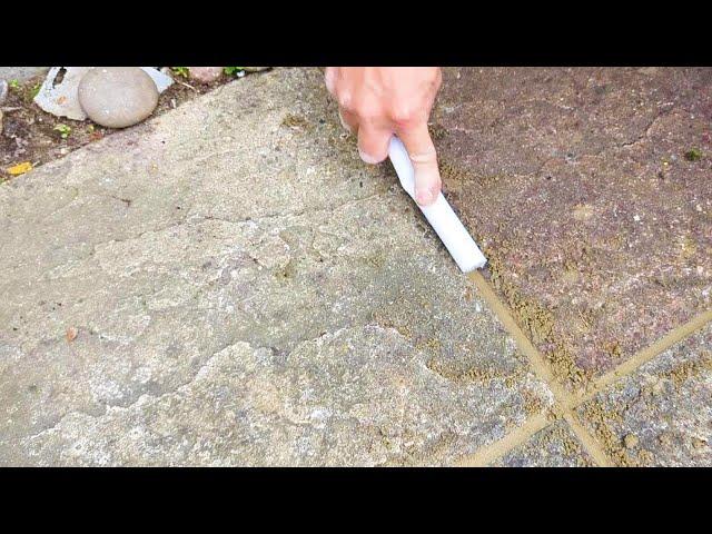 How to re-point paving slabs