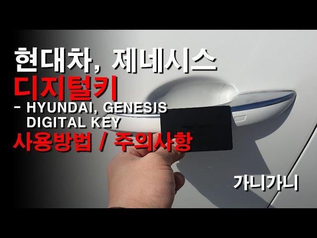 현대차, 제네시스 디지털키(digital key) 사용방법 /주의사항 - 가니가니