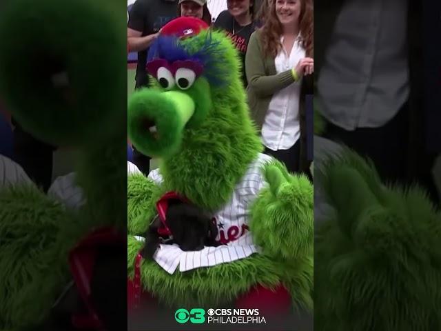 WATCH: Phillies new service dog Major visits CBS Philadelphia