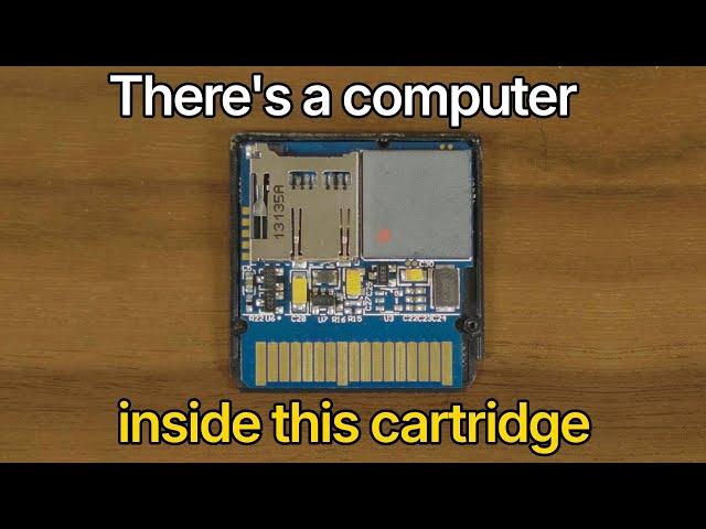 There's a COMPUTER inside my DS flashcart
