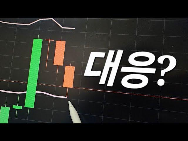 환호 속 하락!