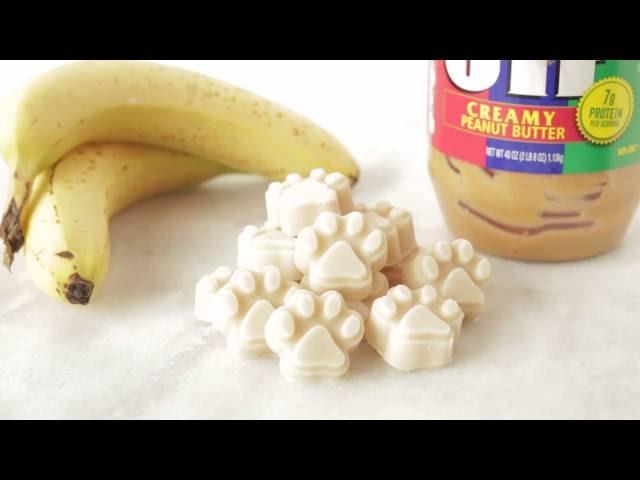 Yogurt Peanut Butter Banana Dog Treats Recipe