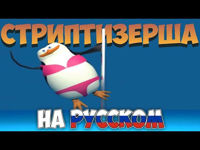 Мем Пингвины Мадагаскара на Русском