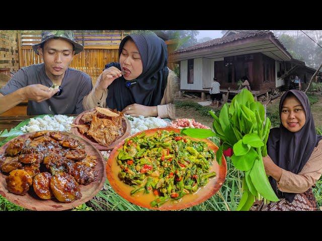 Ah,. TERNIKMAT.. Berkabut Petik Genjer, Tumis GENJER Terasi Pedas, Semur Jengkol, Asin Kapas