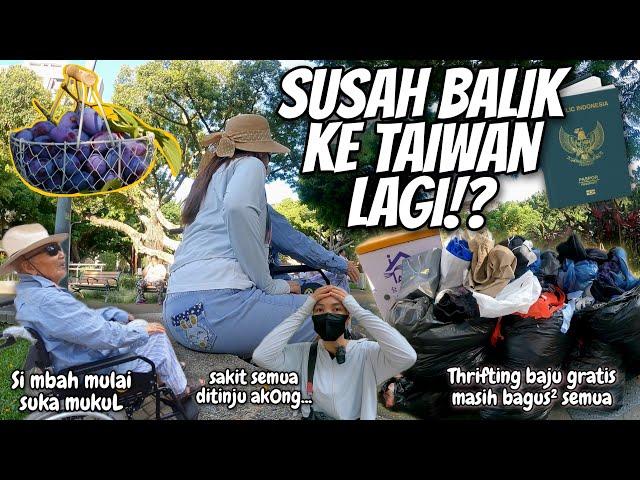 SI MBAH MULAI SUKA MUKUL KALAU KUM*T⁉️ PROSES RUMIT SUSAH BALIK KE TAIWAN LAGI⁉️