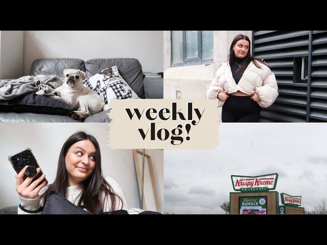 Weekly vlog! | Pupdates, shooting, getting vaccinated & home repairs! | beckyloubutton