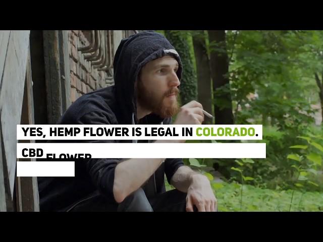 Best Smokable Hemp Flower In Colorado