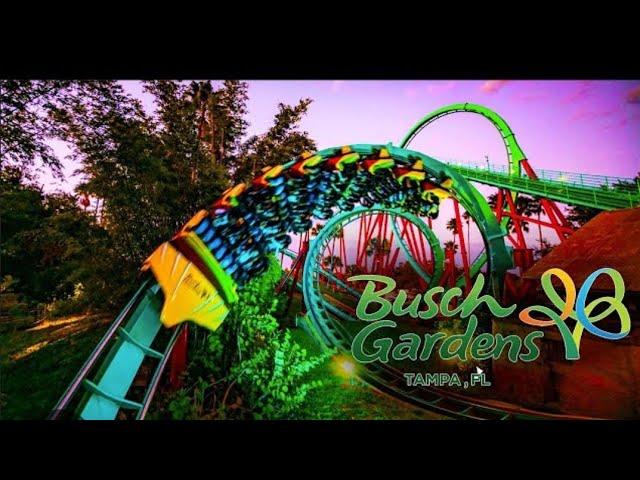 Bush Garden Tampa ( Free Admission new years eve )