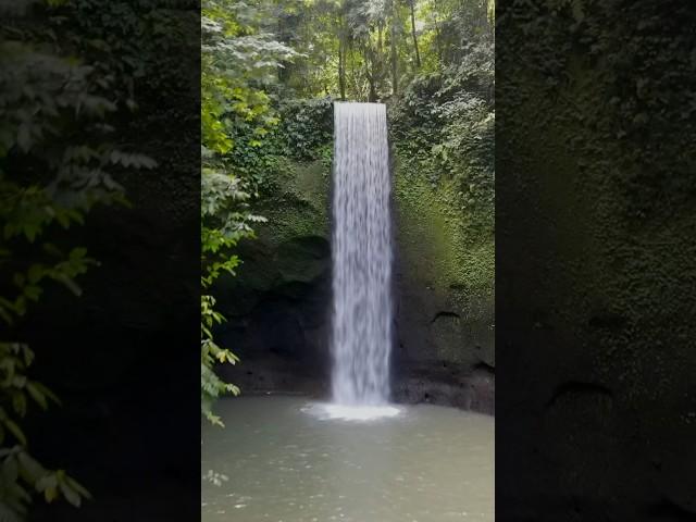 Secret waterfalls of Ubud, Bali #waterfall #bali #indonesia #ubud #travelvlog #travel