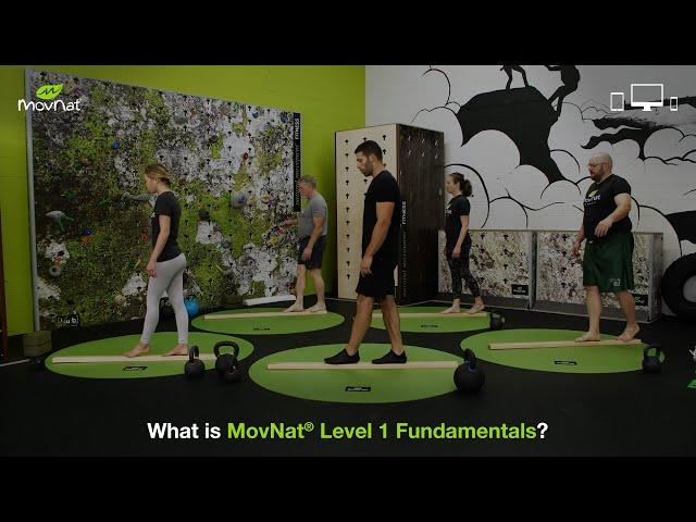 Introducing MovNat Level 1 Fundamentals