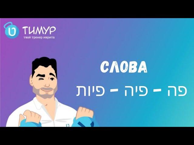 Слова פה - פיה - פיות |《Тимур Мильгром