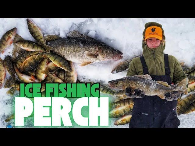 Ice Fishing Perch With Plastics