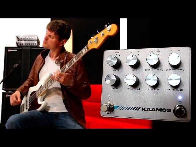 DARKGLASS - KAAMOS Octave + Drive // Demo by Nate Navarro