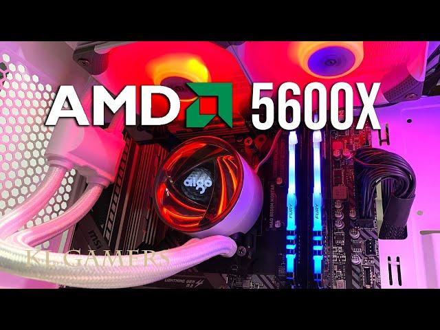 Satisfying RGB Gaming PC Build AMD Ryzen 5 5600X msi MAG B550M MORTAR GTX1650