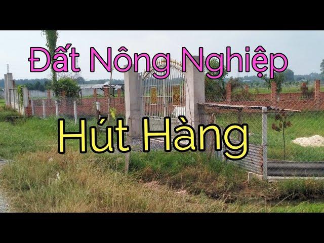 Đất Nông Nghiệp Hấp Dẫn Người Saigon. Vì Sao?