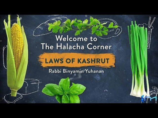 Rabbi Binyamin Yuhanan - Laws of Kashrut