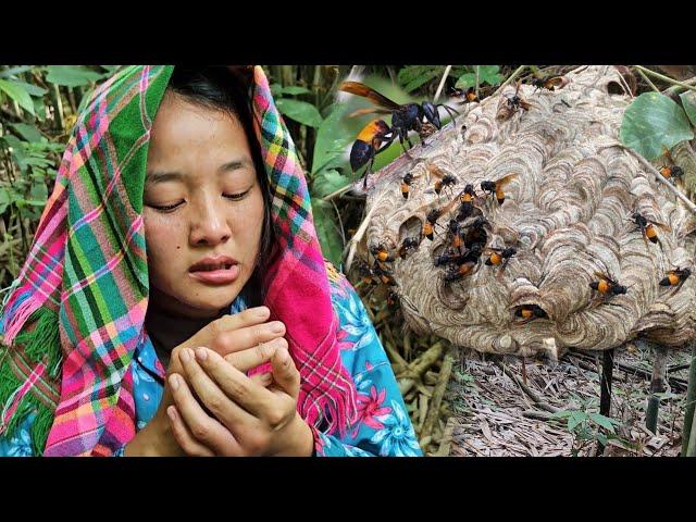 Single mother: Going into the deep forest alone - attacked by the most dangerous bees