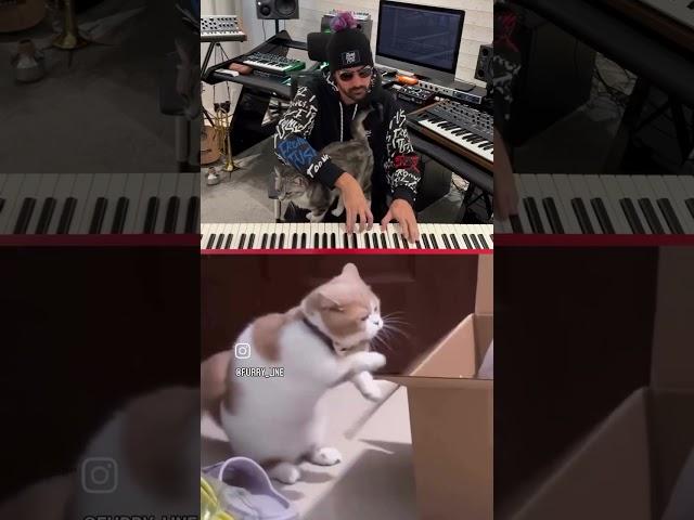 orcatstra