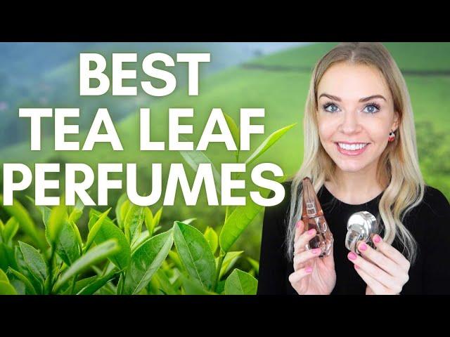 BEST TEA LEAF FRAGRANCES | Soki London