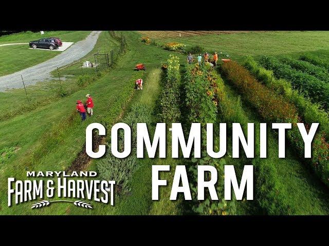 A Community Farm Makes a Difference | Maryland Farm & Harvest