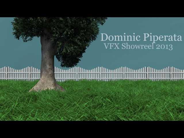 2013 Showreel Dominic Piperata