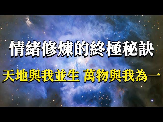 如何在情緒中完成修煉？情緒修煉的終極秘訣：天地與我並生，萬物與我為一！#能量#業力 #宇宙 #精神 #提升 #靈魂 #財富 #認知覺醒 #修行