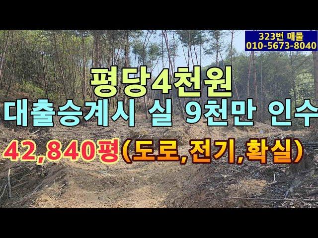 (323번 매물)평당 4천원.임야.대출8천만원 승계시 실인수금액은 9천만원.대형차량통행가능한 임도 접.전기있음.임산물이나 염소사육 최적지.밭으로 활용가능한 부분도 있음.