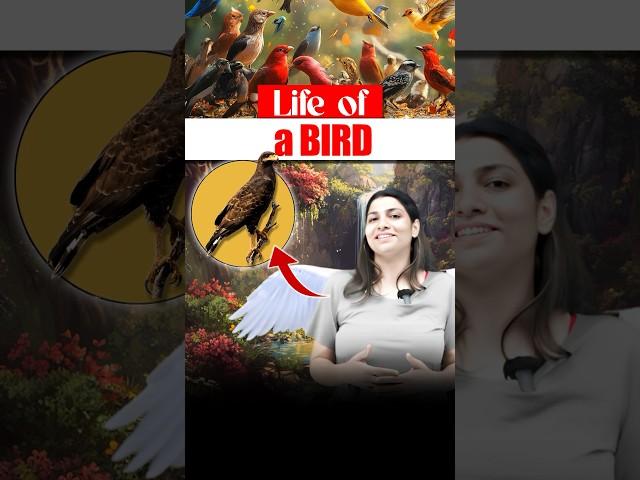 Life of a bird ️#neetbiology #neet2025 #riturattewal #bird #lifeofbird