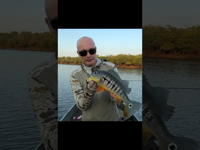 Рыбачим в КолумбииFishing in Columbia #рыбалка #авторскиетуры #трофей #жизнь
