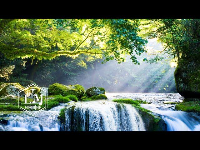 My heart, you have to praise the Lord | Devotional music quietly before God #Guitar Spiritual Music