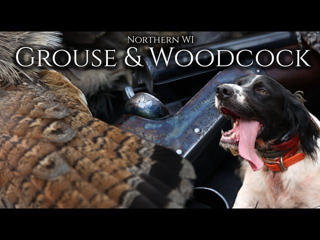 Grouse & Woodcock Hunting Northern WI: English Setter