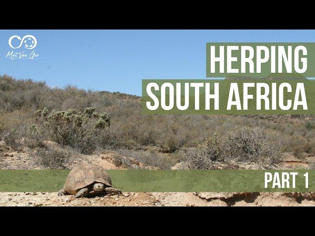 Herping South Africa Part 1 - The Start