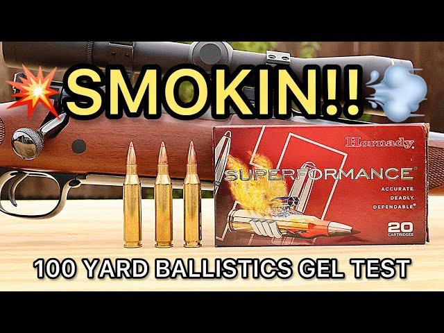 243 Winchester Hornady Superformance SST Ballistics Gel Ammo Test