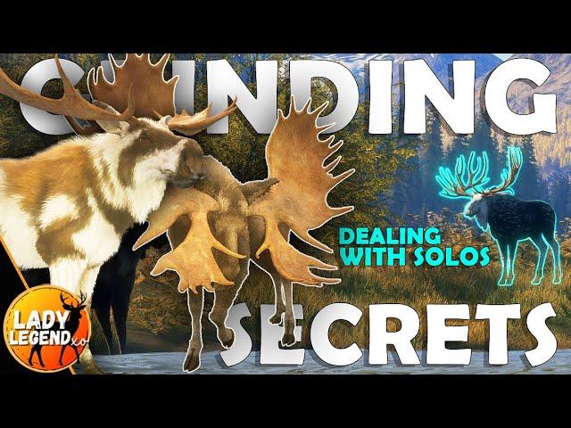 GRINDING SECRETS / 1st LAYTON GREAT ONE is HERE!!! - Call of the Wild