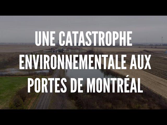 Lagunes de Mercier: une catastrophe environnementale aux portes de Montréal