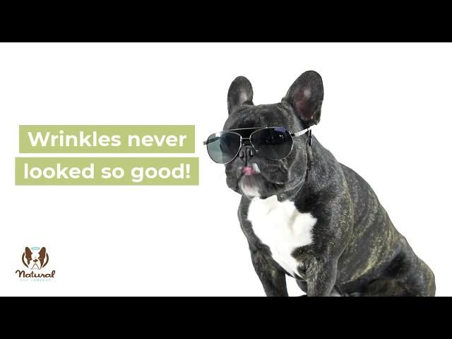 Natural Dog Company Wrinkle Balm