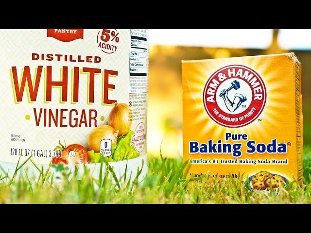 Vinegar vs Baking Soda Weed Killer Comparison