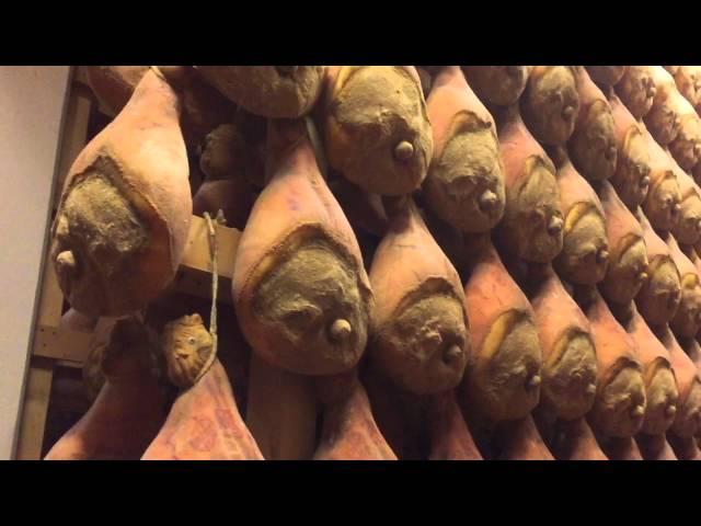 Food and wine tour in Emilia Romagna