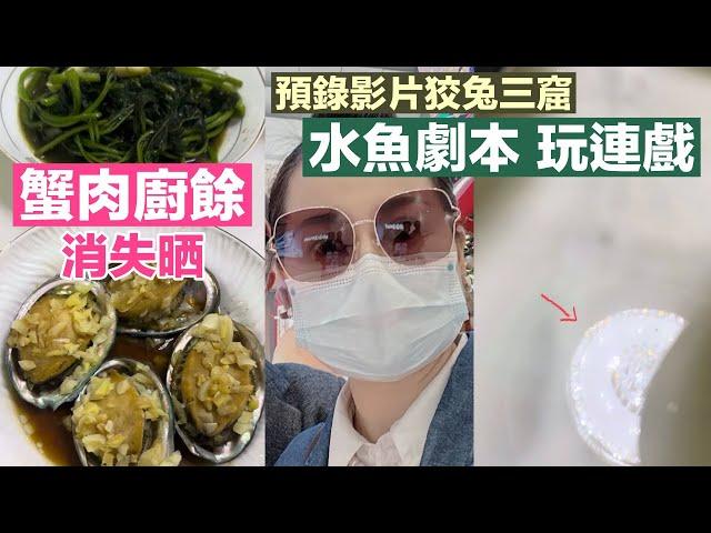 何太預錄影片狡兔三窟 何馬水魚劇本玩連戲 河馬皇帝蟹廚餘翌日全部消失晒