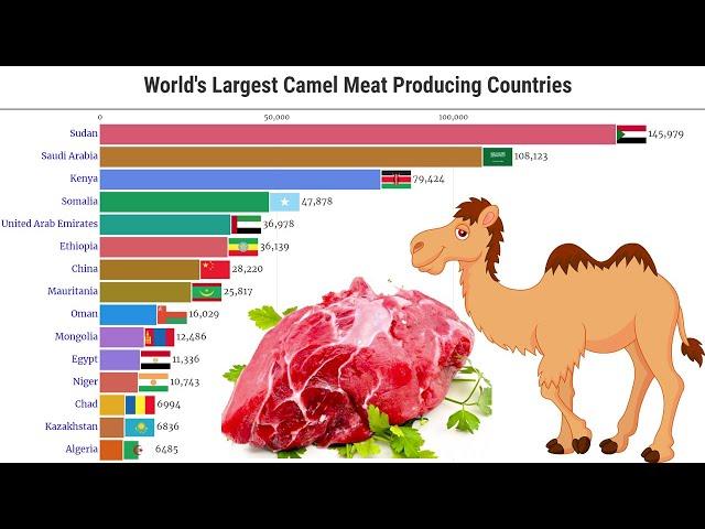 Data Is Beautiful - World's Largest Camel Meat Producing Countries (1961 - 2025)