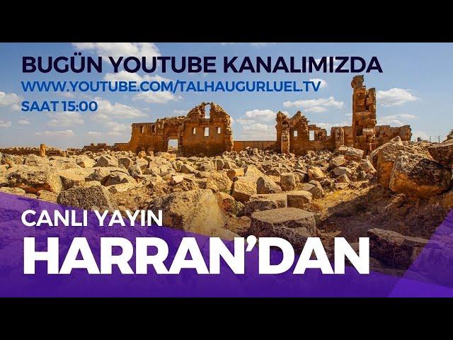 Son Harran Kazılarından Neler Bulundu ?