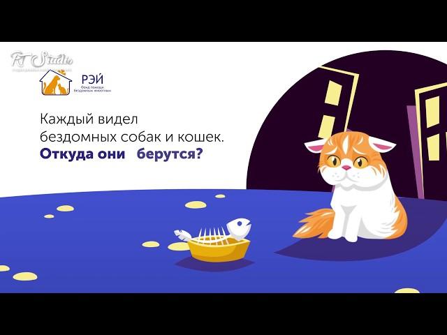 Социальный ролик для Фонда помощи бездомным животным "РЭЙ"