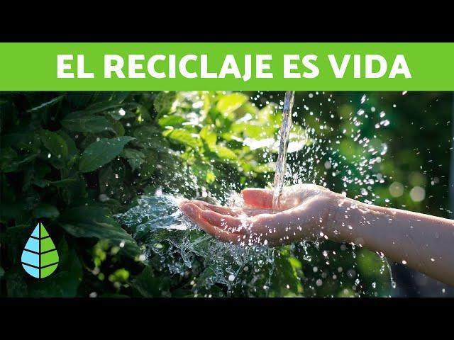 BENEFICIOS DEL RECICLAJE ️  ¿Qué es el reciclaje?